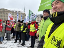 2026 Görlitz 015 (Custom)